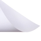 Набор ватманов чертёжных А2, 160 г/м², 20 листов - Фото 6