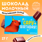Шоколад молочный «Capy birthday», 27 г. - фото 297539157
