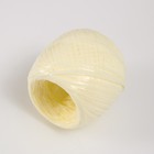 Пряжа "Для вязания мочалок" 100% полипропилен 200м/50±10гр в форме клубка(набор 2штМИКС№3) - Фото 3