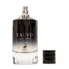 Парфюмерная вода мужская Salvo (по мотивам Dior Sauvage), 100 мл - Фото 3