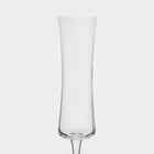 Набор стеклянный бокалов для шампанского BUTEO, 150 мл, 6 шт - Фото 4
