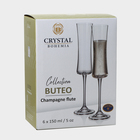 Набор стеклянный бокалов для шампанского BUTEO, 150 мл, 6 шт - Фото 8