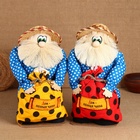 Домовой Иваныч "Дом - полная чаша", с мешком, 40 х 24 см, микс - фото 23719311