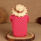 Домовой Фёдор "Дом - полная чаша", с мешком, 30 х 20 см, микс - фото 23719325