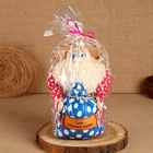 Домовой Фёдор "Дом - полная чаша", с мешком, 30 х 20 см, микс - фото 23719327