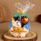 Домовой Санёк "Дом - полная чаша", с ложкой, 19 х 17 см, микс - фото 23719382