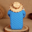 Домовой Фёдор "Всех благ", с мешком, 30 х 20 см, микс - фото 23741407