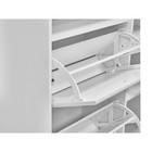 Тумба под обувь 2-х секционная с дверью «Монако», 1050×240×892 мм, цвет белый - Фото 4