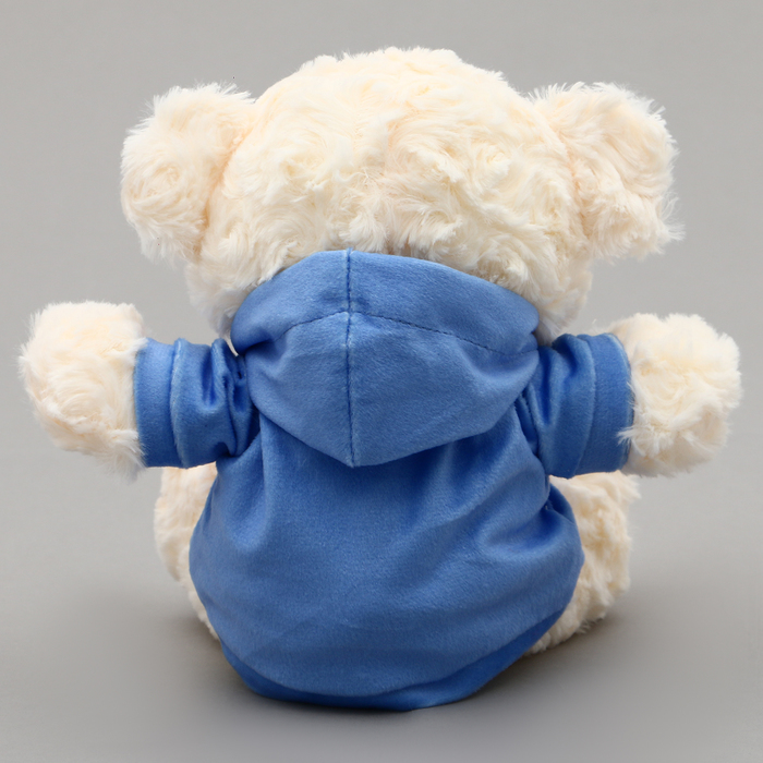 Мягкая игрушка Мишка «Друзья навсегда» в кофте - фото 1908064302