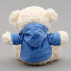 Мягкая игрушка Мишка «Прости меня» в кофте - фото 24625053