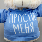 Мягкая игрушка Мишка «Прости меня» в кофте - фото 24625055