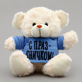 Мягкая игрушка Мишка «С праздничком!», в кофте, 13 см 9758387