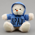 Мягкая игрушка Мишка «Ты мой КРАШ» в кофте - фото 23769524