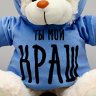Мягкая игрушка Мишка «Ты мой КРАШ» в кофте - фото 23769525