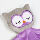 Комфортер - игрушка для сна новорожденных «Совёнок», 29×27 - Фото 4