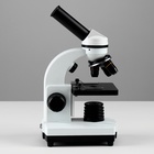Микроскоп лабораторный кратность 40,100,400, подсветка - фото 9211983