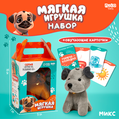 Набор:Мягкая игрушка+развивающие карточки "Собака", цвет МИКС