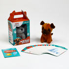 Набор:Мягкая игрушка+развивающие карточки "Собака", цвет МИКС - фото 9310894