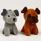 Набор:Мягкая игрушка+развивающие карточки "Собака", цвет МИКС - фото 9310896