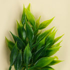 Веточка зелени, размер 1 шт. — 8 × 5 × 5 см, набор 3 шт. - Фото 3