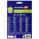 Карандаши акварельные BRAUBERG ART CLASSIC 36 цветов, грифель 3,3 мм - фото 23719755