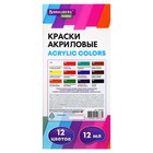Краска акриловая в тубе, набор 12 цветов х 12 мл, BRAUBERG HOBBY, 192403 10354251 - фото 13670437