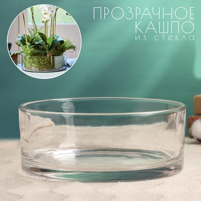 Кашпо для цветов «Эллен», d=20 см, h=8 см, стеклянное, Greengo