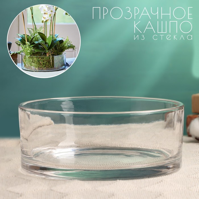 Кашпо для цветов «Эллен», d=20 см, h=8 см, стеклянное, Greengo - Фото 1