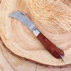 Нож складной "Грибник" 19см, клинок 80мм/2,5мм, рукоять дерево - фото 321235526