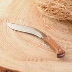 Нож-кукри сувенирный "Непал" 12,5см, клинок 80мм/2мм - Фото 2