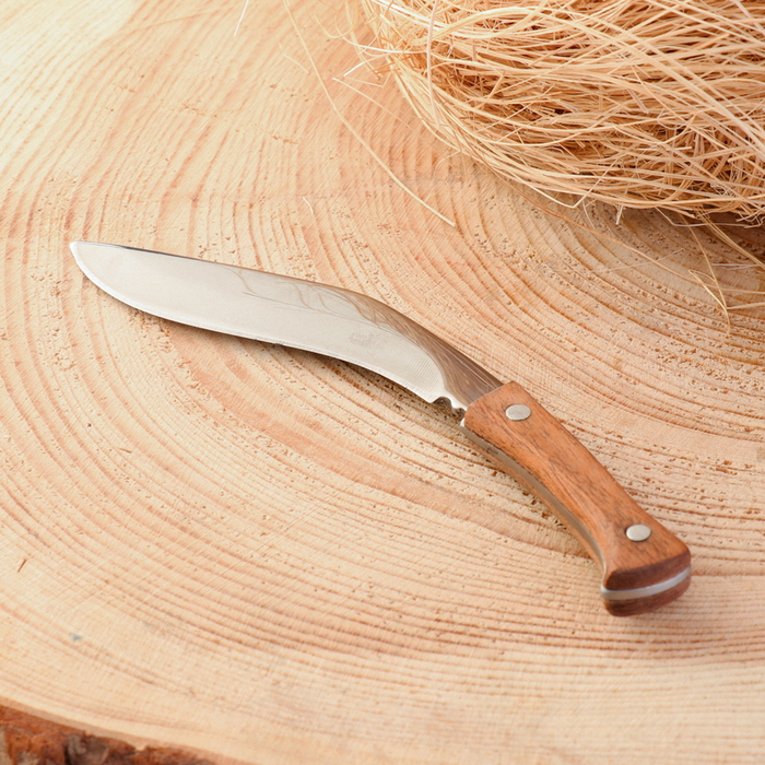 Нож-кукри сувенирный "Непал" 12,5см, клинок 80мм/2мм - фото 1906620319