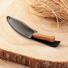 Нож-кукри сувенирный "Непал" 12,5см, клинок 80мм/2мм - Фото 3