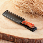 Нож-мачете сувенирный "Непал" 12,5см, клинок 81мм/2мм - Фото 3