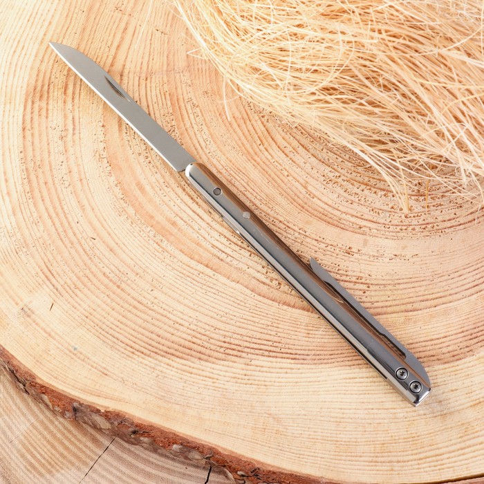 Нож складной "Ручка" 18см, клинок 70мм/1,5мм - фото 1927043512