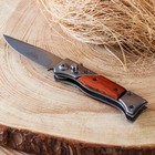 Нож складной "Пескарь" 17см, клинок 74мм/2,2мм - фото 3314089