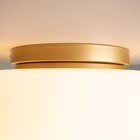 Светильник потолочный Maytoni MOD270CL-01G, 1хE27, 60Вт, 31,5х31,5х22 см, цвет золото - Фото 4