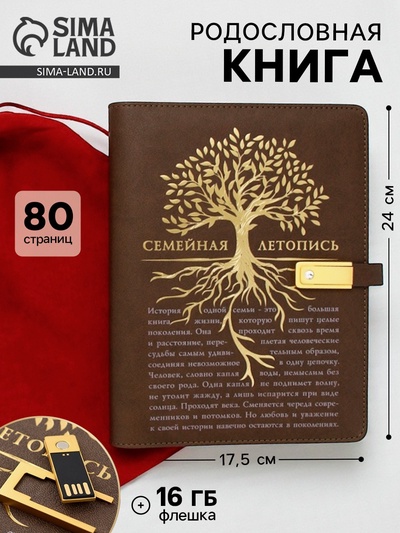 Родословная книга со встроенной флешкой 16 Gb «Семейная летопись», 17.5×23 см