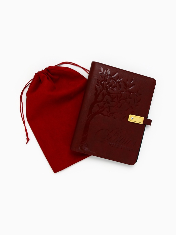 Родословная книга со встроенной флешкой 16 Gb «Книга всей семьи», 17,5 х 23 см. 9874513