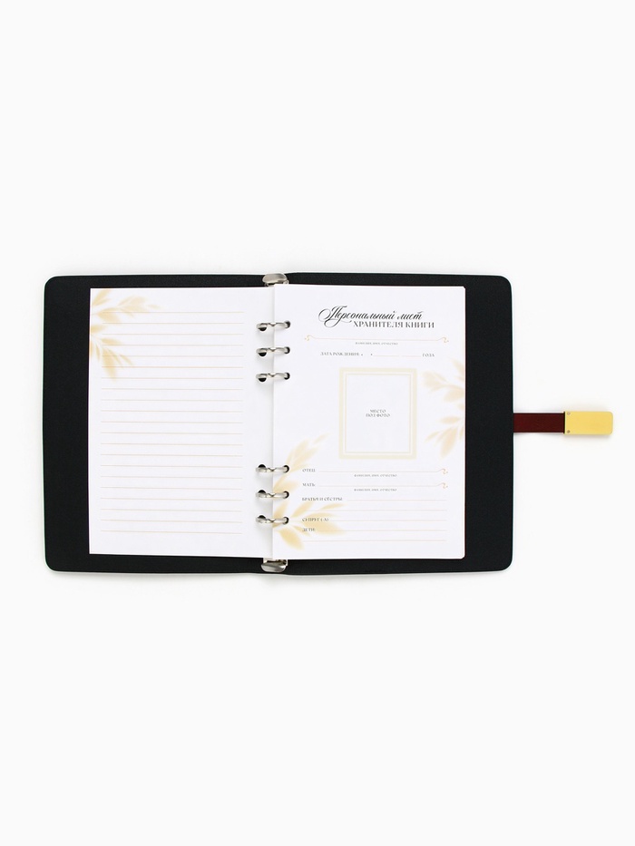 Родословная книга со встроенной флешкой 16 Gb «Книга всей семьи», 17,5 х 23 см. 9874513