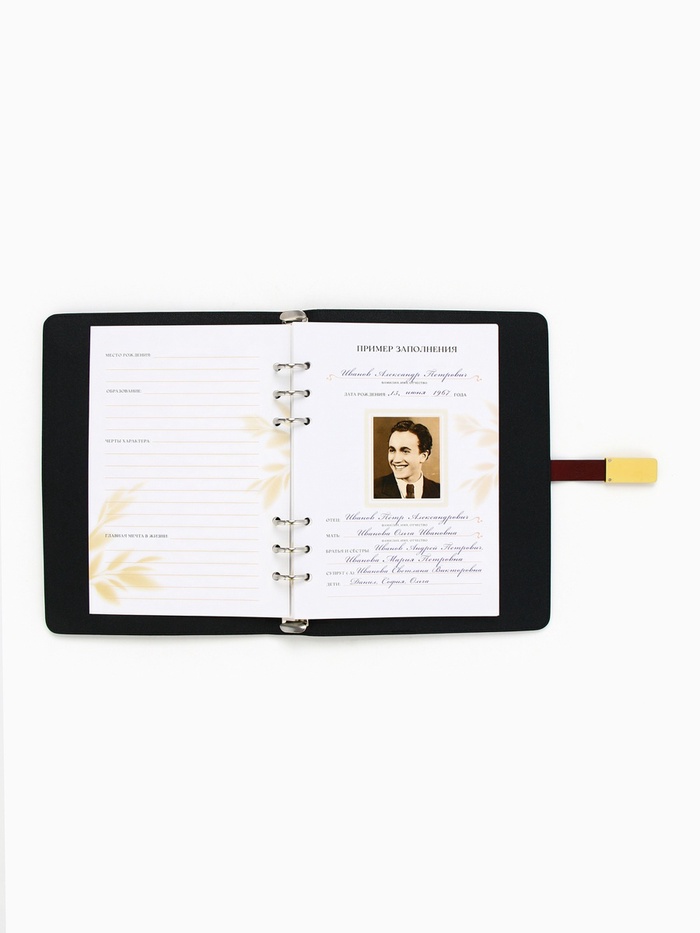 Родословная книга со встроенной флешкой 16 Gb «Книга всей семьи», 17,5 х 23 см. 9874513