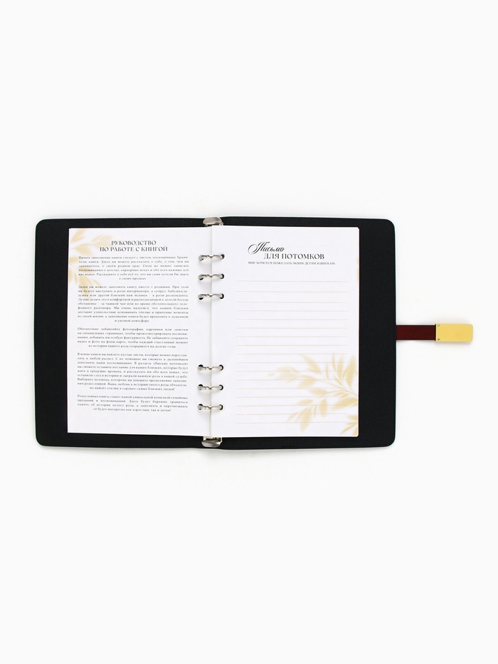 Родословная книга со встроенной флешкой 16 Gb «Книга всей семьи», 17,5 х 23 см. 9874513