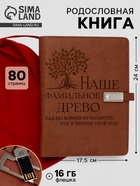 Родословная книга со встроенной флешкой 16 Gb «Наше фамильное дерево», 17.5×23 см - Фото 1