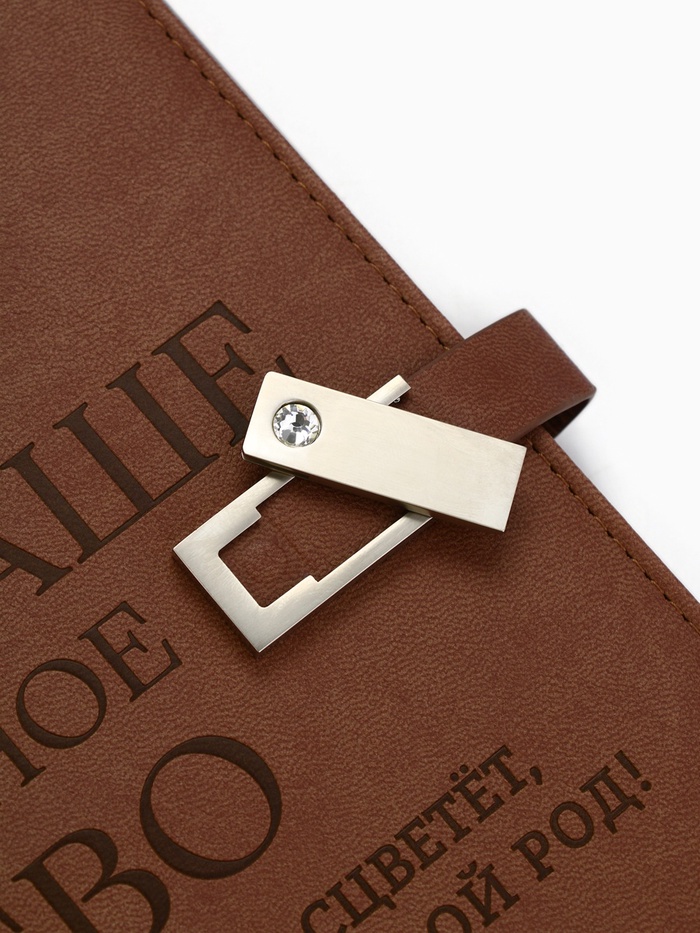 Родословная книга со встроенной флешкой 16 Gb «Наше фамильное дерево», 17,5 х 23 см. 9874514