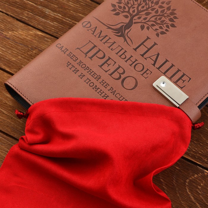 Родословная книга со встроенной флешкой 16 Gb «Наше фамильное дерево», 17,5 х 23 см. 9874514