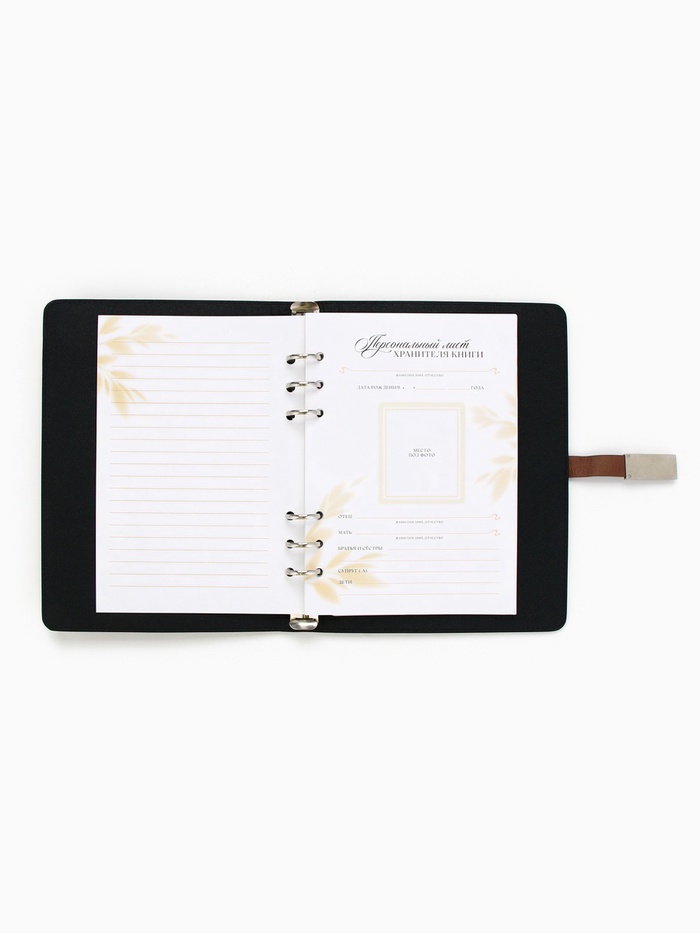 Родословная книга со встроенной флешкой 16 Gb «Наше фамильное дерево», 17,5 х 23 см. 9874514