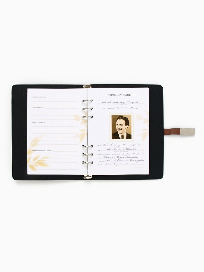 Родословная книга со встроенной флешкой 16 Gb «Наше фамильное дерево», 17,5 х 23 см. 9874514