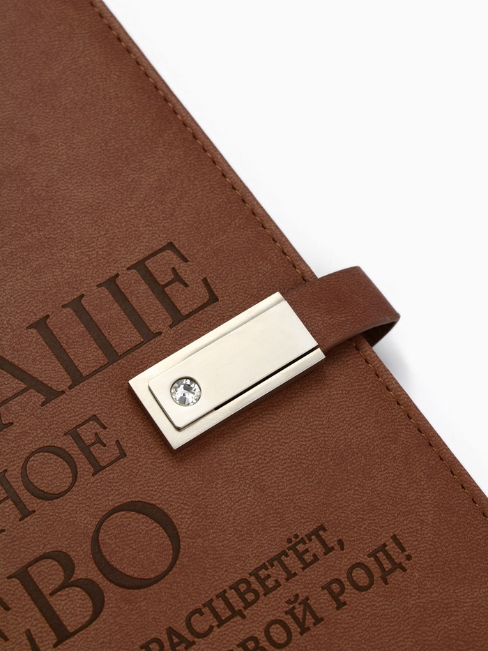 Родословная книга со встроенной флешкой 16 Gb «Наше фамильное дерево», 17,5 х 23 см. 9874514