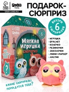 Мягкая игрушка - сюрприз «Сова» - Фото 1