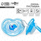 Соска - пустышка силиконовая ортодонтическая M&B «Дино», от 0 мес., с колпачком, голубой - Фото 1