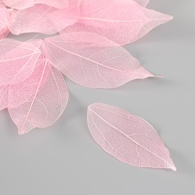 Листья скелетированные для творчества "Светло-розовые" набор 20 шт h=6-6,5 см